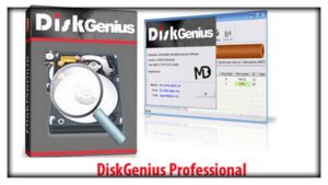 DiskGenius Professional